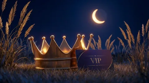 Corona dorada y tarjeta VIP violeta: programa VIP